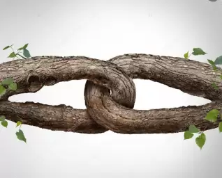 Созависимые отношения: как выйти и начать жить