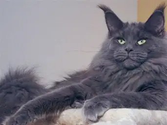 Как жить с гиперконтролем и завышенными ожиданиями: советы и опыт